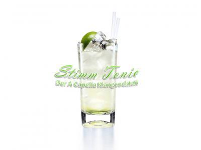 Stimm Tonic logo